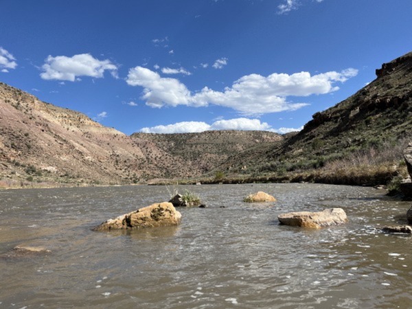 Smith Fork, Gunnison River | Zafran Animal Communication